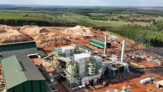 Corrientes pone en marcha la mayor planta de biomasa del país (y se consolida como líder en energía renovable)